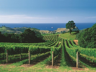 新西蘭貿易發展局（攝影師Kerry Fox）